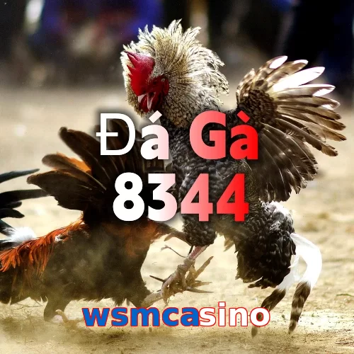 wsmcasino
